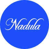 
        Nadula Lace Front Bone Straight Layered Haircut 200% Density With Baby Hair    