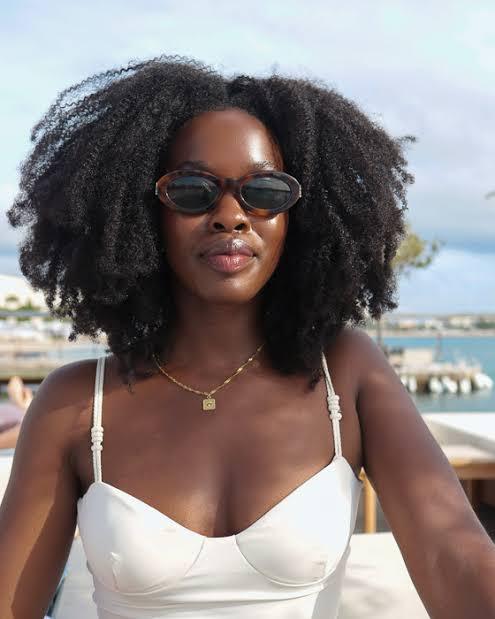 4c twist-out hairstyle